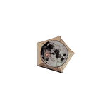 Photo by ＊ ‎𝐇ᵉʸ ‎ ‎ —-- ‎ ‎ 𝑙ittle ‎ ‎ so͡ngbird. (@oscenvola)