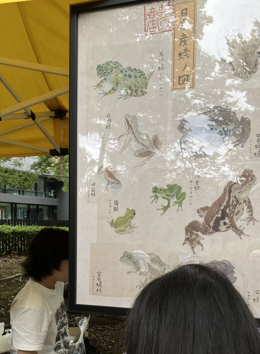 neco3nemui's tweet photo. 今年の芸祭　2日目の土曜日に行ったら、お天気は良かったのだけどお神輿が出ない日で残念
その代わり並んでいるお神輿をじっくり鑑賞できた。細部まで作り込み凄い。#芸祭2026 https://t.co/vE19KpaGtv