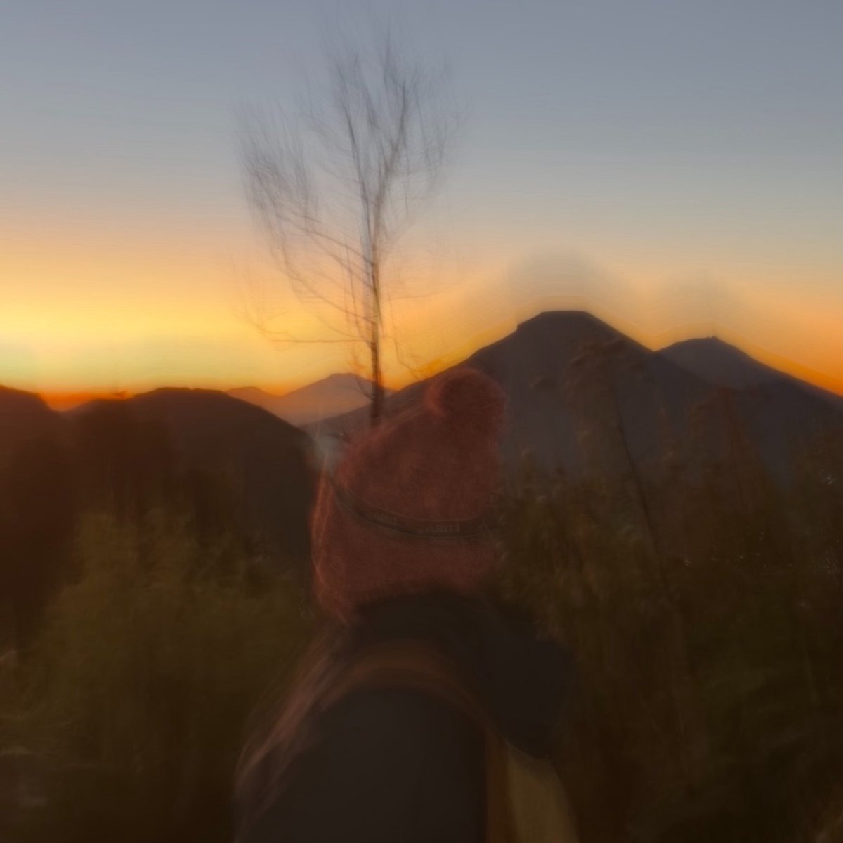 erigomsz's tweet photo. 📍Gunung Bismo via Sikunang (05/08/26)

walaupun sempat kena badai di pos 2 dan terpapar debu di track antar puncaknya tp gapapa karena se worth it itu view nyaa! https://t.co/PKjOqE6Hwa