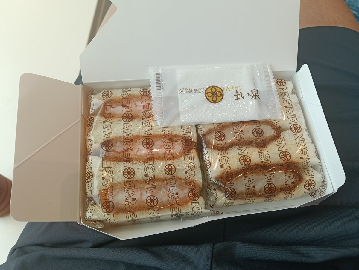fat_sub4's tweet photo. トレイルランを引退したので、巡業に出ることにします🧳
今日はエビカツ付だよ🍤
#ホントはマクドでチーズ月見バーガーの気分だったが人多過ぎで諦めた
#脚が脚が筋肉痛 https://t.co/cE3ooLoHyH