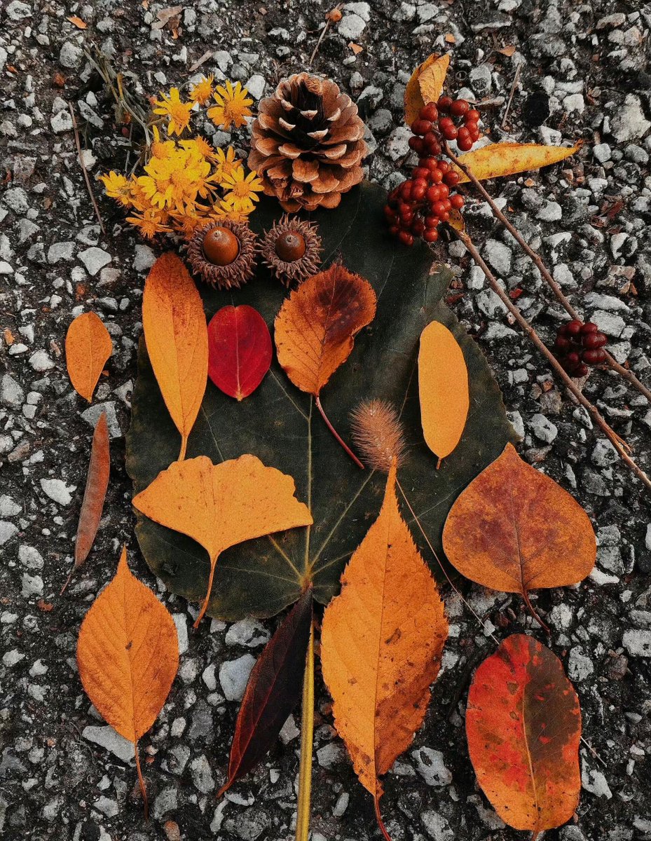 IvoryPeelepew's tweet photo. some things are better when they just fall into place... 🍂 https://t.co/ZqQkGFYIm0
