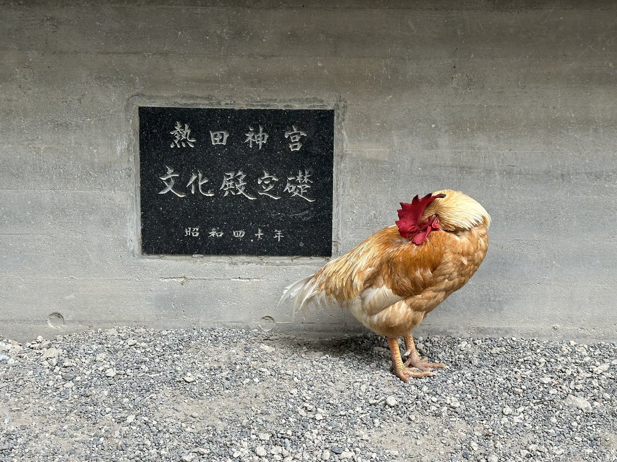 midoyank tweet picture