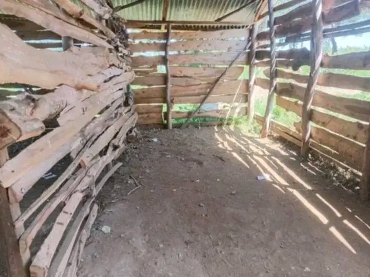 otienowill's tweet photo. That wooden structure is not a cowshed.

It is the current ECDE classroom at Othith Primary School, in South West Nyakach Ward, Nyakach Constituency, Kisumu County where young children are expected to learn and build their future.

This is the reality facing our children. https://t.co/0FY5MAAnz2