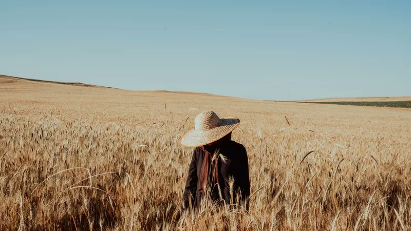 忒修斯的船板 的文章封面：Article 图片