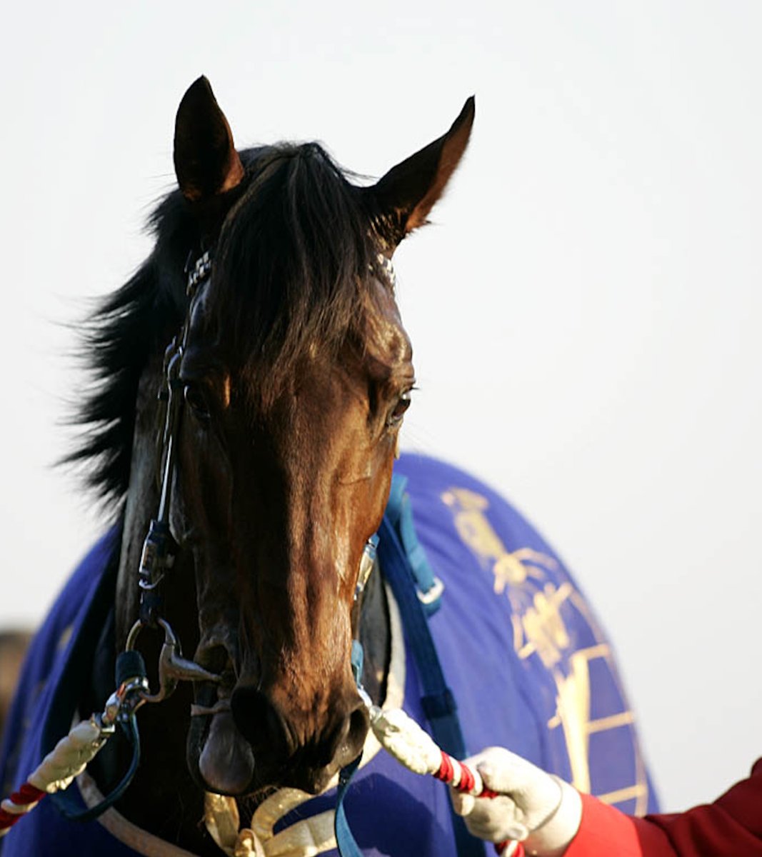 netkeiba's tweet photo. 【R.I.P】
G1・3勝のアドマイヤムーンがこの世を去りました。23歳。

通算17戦10勝

<主な勝ち鞍>
2007年🇦🇪ドバイDF
2007年宝塚記念
2007年ジャパンC

▼アドマイヤムーンのデータベース
https://t.co/iN9kNPe0y0

撮影：下野雄規、(c)netkeiba https://t.co/T3emJiyxhT