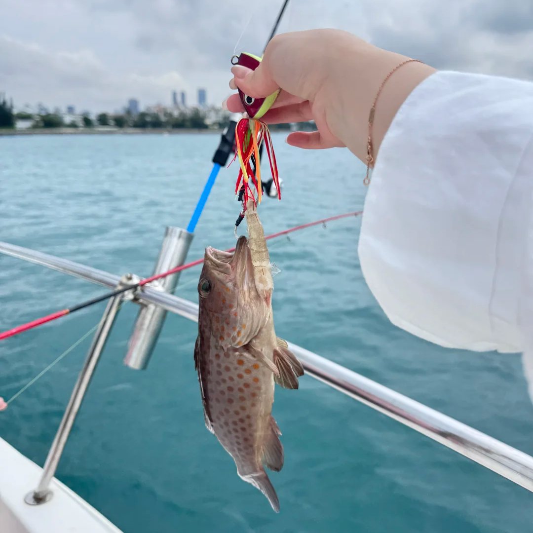 yujin_wisdom's tweet photo. No need to rush to tourist attractions; simply waiting for the fish to bite is quite pleasant. https://t.co/mFQgNMymd9