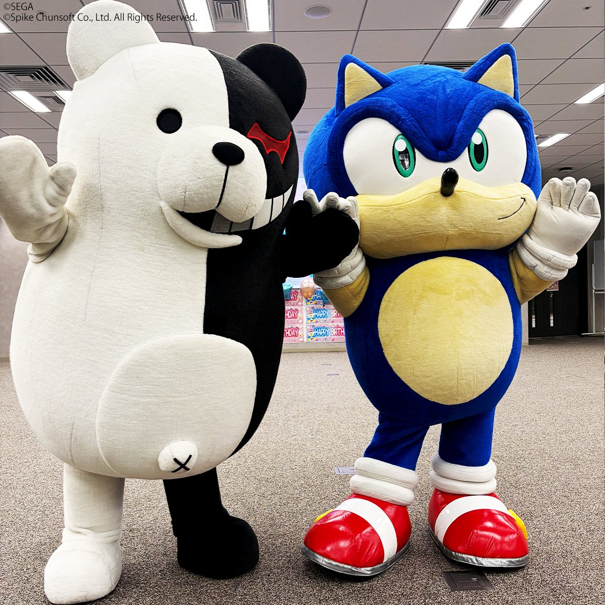 spikechunsoft's tweet photo. 先日のドンペン生誕祭でソニックとも再会！
また会えたねソニック👋
仲良く握手しました🤝 https://t.co/pitGu9FWnR