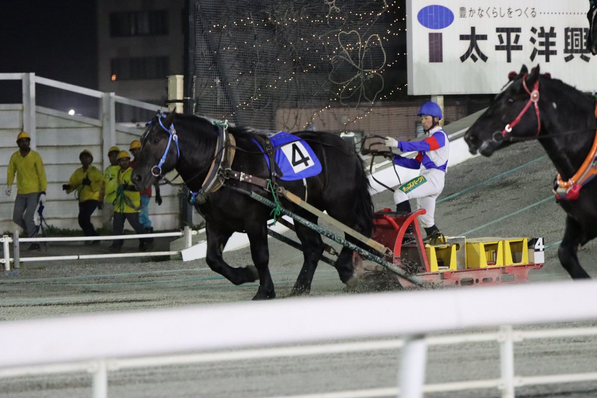 laputar0914's tweet photo. #アオニシキ
 #ばんえい競馬
 #帯広競馬場 https://t.co/pAVCU5yd9o