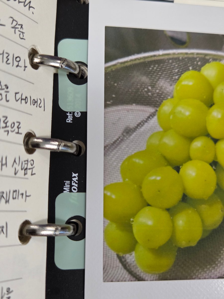 Detective_Gamza's tweet photo. 친구가 꿀팁 더 달라고 해서 생각해보다가 너무 익숙해서 꿀팁인줄도 몰랐던 것을 공유.

종이 위에 붙이기 어렵고 구멍 뚫기 아까운 것이라면 다이소 '하드'인덱스를 펀치로 뚫어서 붙인 후 링에 끼워보세요. 꼭 하드 인덱스여야 너무 얇지 않아서 펀칭도 잘 되고 단단해서 링에 잘 걸리니 참고! https://t.co/8x7FwNDePY