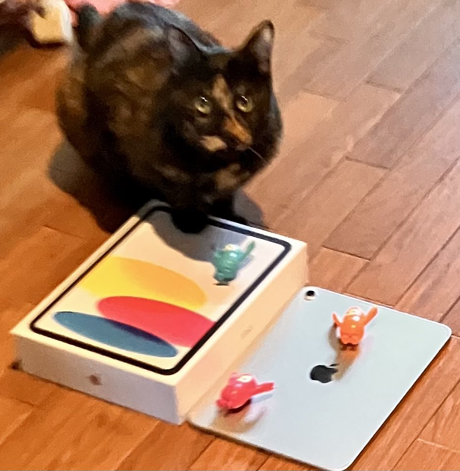 ayaya0929FG's tweet photo. にゃんにゃ❣️新しいiPadにゃんか😽💕
にゃかにゃかカッコええにゃ〜ね😻❤️
#猫好きさんと繋がりたい𓏲𓎨
#iPadA16 https://t.co/uewf4suN7z