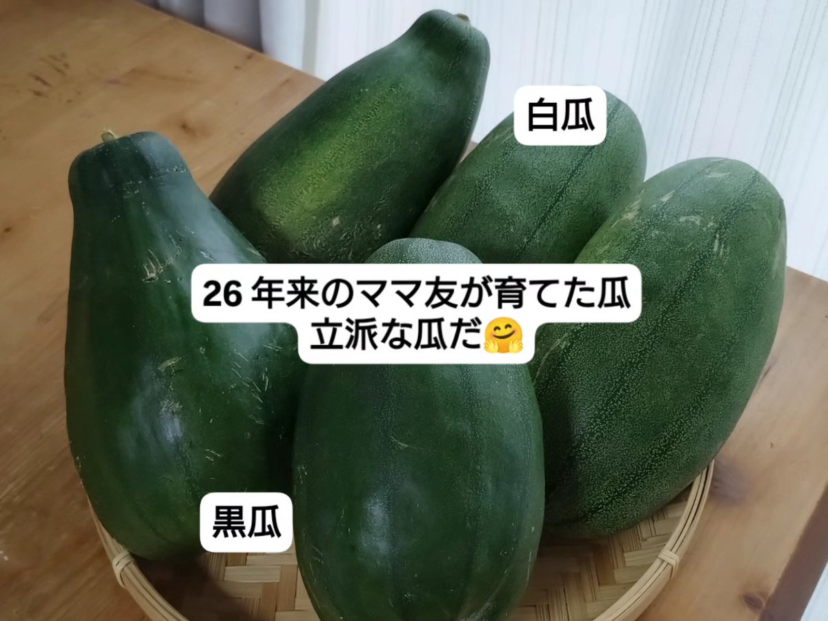 nori_tree's tweet photo. ただいた黒瓜白瓜を使って
作り置き

26年来のママ友が育てた
立派な #黒瓜 #白瓜

◎白瓜の塩漬け
◎豚肉しめじ黒瓜の炒め物
◎しめじ豆腐黒瓜のお味噌汁
◎白瓜の甘酢漬け
◎白瓜トマトのマヨポンサラダ
◎鷹の爪入り黒瓜きんぴら
◎黒瓜の煮浸し

凝ったものではなく
簡単に作れる料理
素朴な味付け https://t.co/O7x6L1NUMT