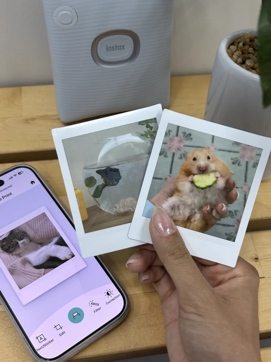 INSTAX“チェキ”公式 (@fujifilmjp_ck) / X