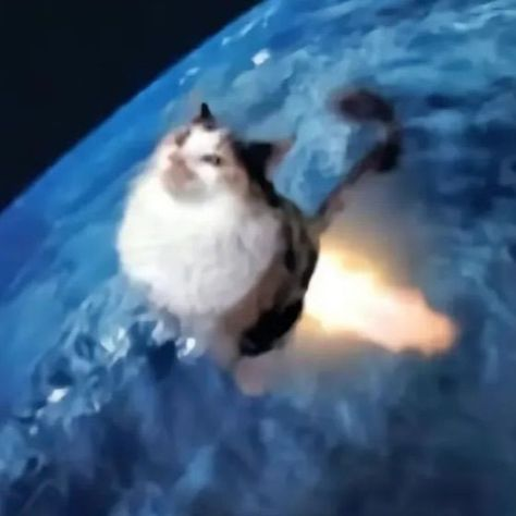 stinkonSF's tweet photo. the stink is reaching escape velocity. https://t.co/VxEg3kFl6R