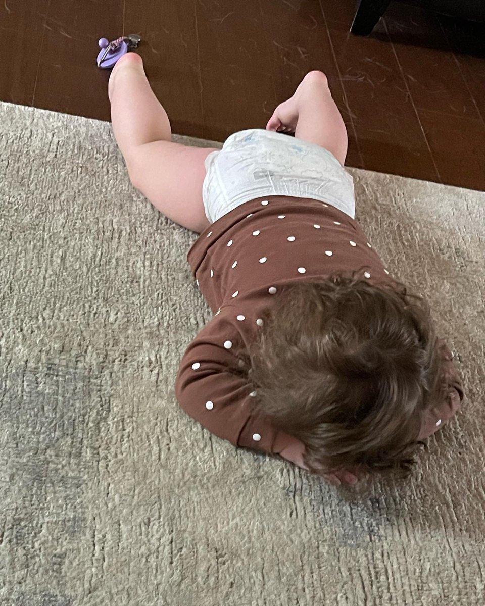 BetteDunke7cfb's tweet photo. Clearing out my phone, I found some photos I had to share. My life revolves around a 17-month-old toddler and a German Shepherd. https://t.co/QkTUYWw9DM