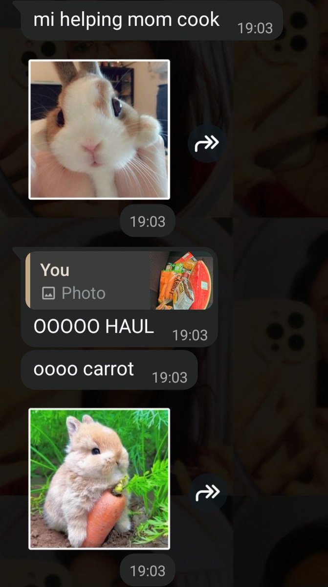 koolaidc0le's tweet photo. my wife is a bnuuy #confirmed shes so cute https://t.co/bk7I8BTAhj