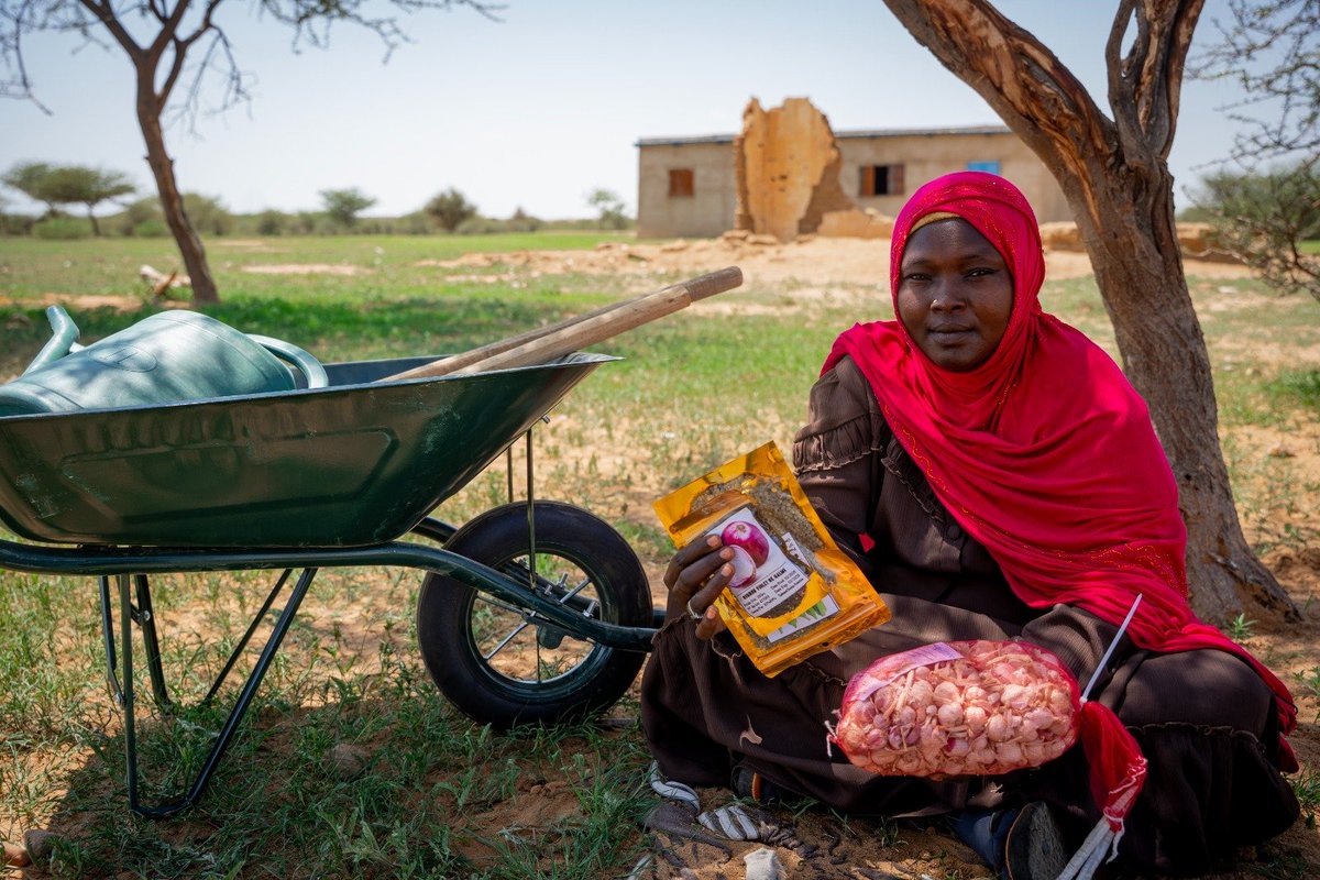 FaoTchad's tweet photo. 🌱💵 En distribuant des semences maraîchères et des transferts monétaires à 3 000 ménages vulnérables, la FAO contribue à #SauverDesVies et à protéger les moyens d'existence des populations exposées à l'insécurité alimentaire dans le Lac, le Ouaddaï, le Wadi Fira et le Sila 🇹🇩. https://t.co/85M27ppZNV