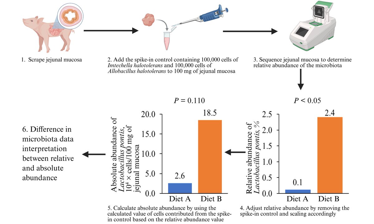 MicroResRep's tweet photo. How can we accurately quantify the absolute abundance of mucosa-associated microbiota?

A study in #MRR established a standardized spike-in control protocol using two bacterial species to quantify the jejunal microbiota of pigs.

🔗https://t.co/LINpwAEL4x https://t.co/zngWo5GLvJ