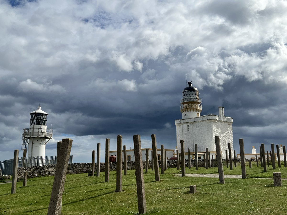 LighthouseMus tweet picture