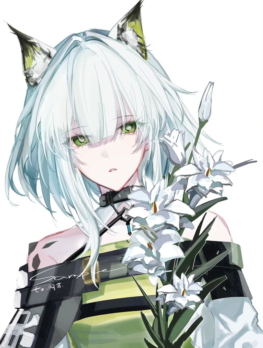 SuTrack0710's tweet photo. 白百合  #Arknightsㅤ #明日方舟ㅤ 
只允许头像壁纸，被拼多多盗取好几次了… https://t.co/mxGipd92NX
