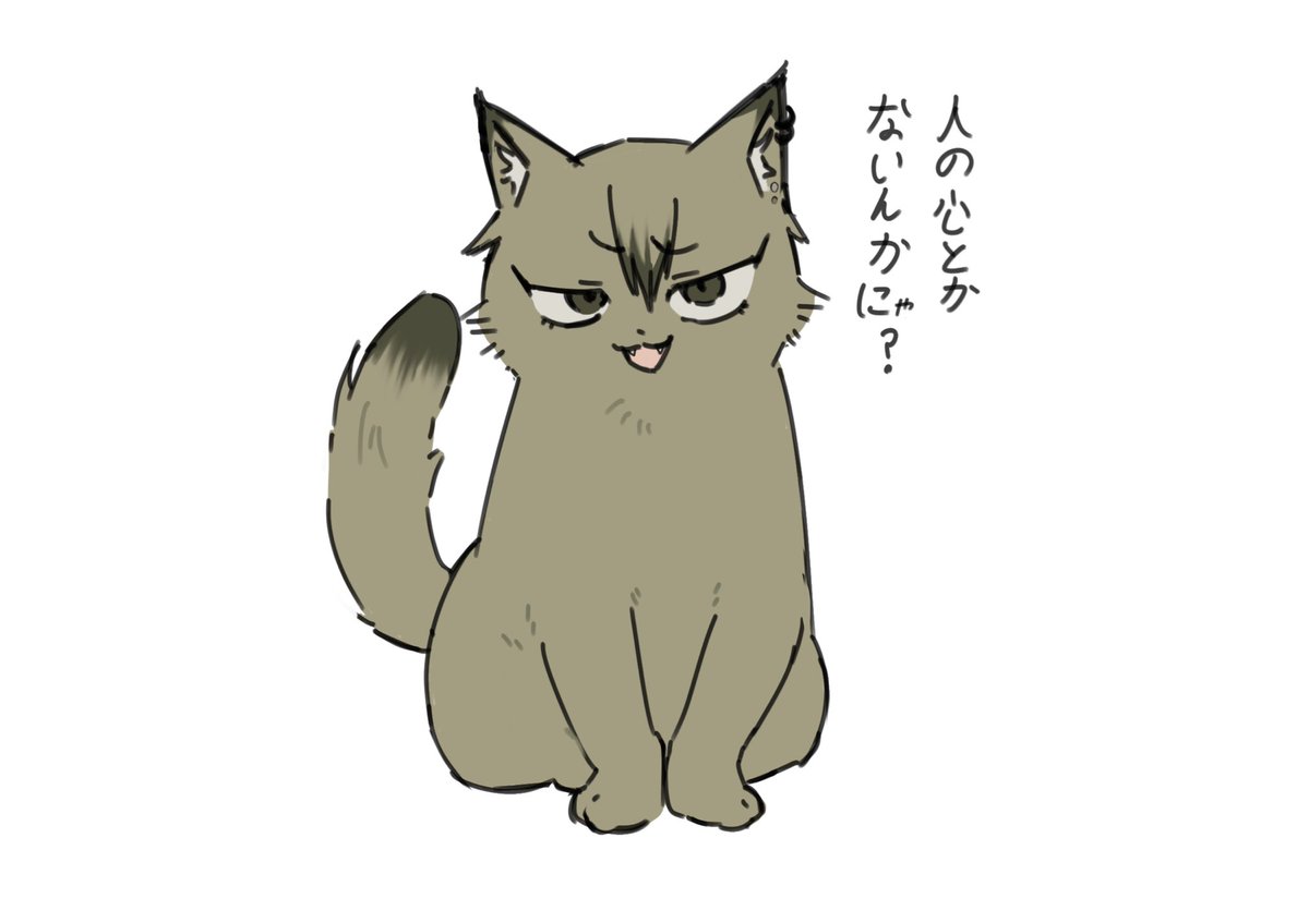 ni0xw's tweet photo. 猫直 https://t.co/B162j1gAYF