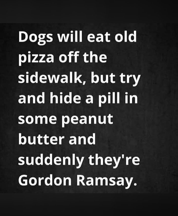 andrews58753's tweet photo. 🤣 https://t.co/6ghplQHse8
