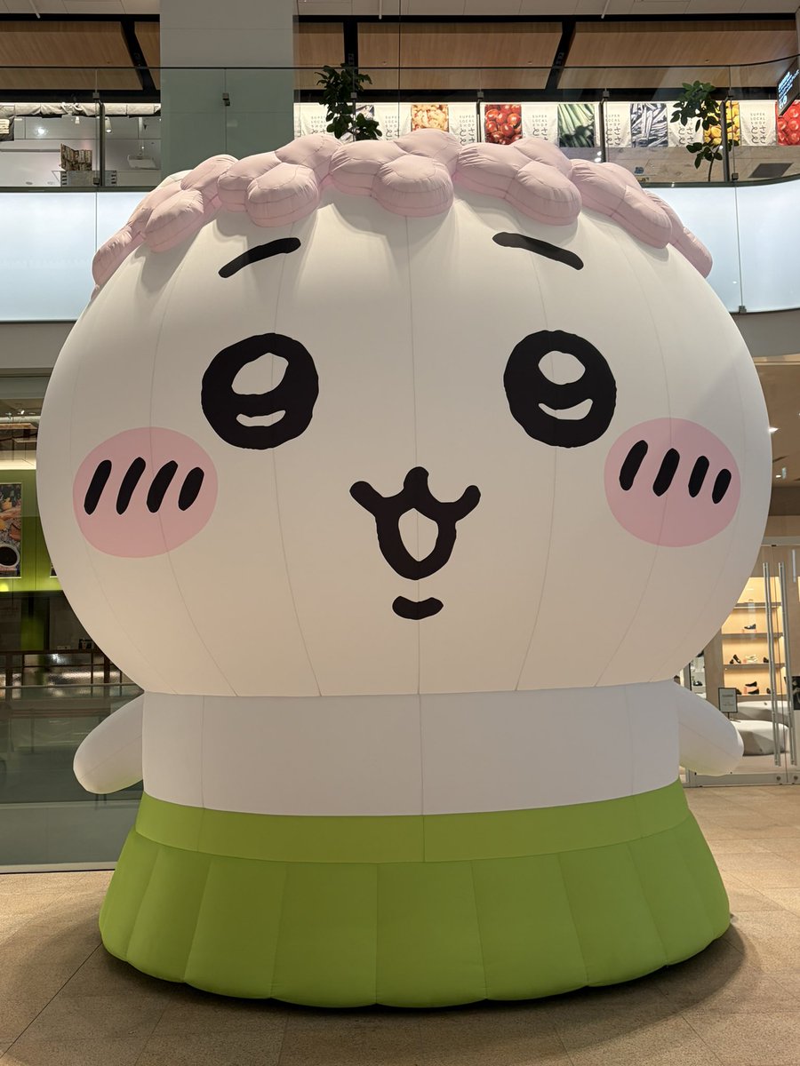 szk_sub54's tweet photo. 大阪とついでに京都に行った🐙 https://t.co/Lknghphk1g