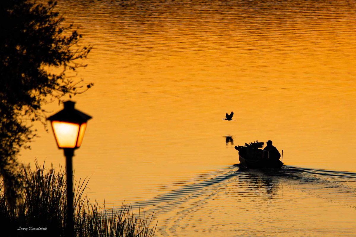 PhotoLarry2's tweet photo. Going Fishing at First Light
The Cormorant and Fisherman have the same objective at first Light 
#sunrise #NatureVibes #Naturephotography #Boating #Fishing #Florida #Cormorant #SunrisePhotography #NatureLover https://t.co/yowWIUGjaP