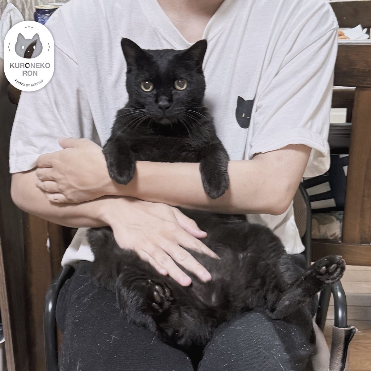 bou128's tweet photo. 弟に抱っこされて「くるしゅうない」の顔をしている https://t.co/yqPmD6Q2tD