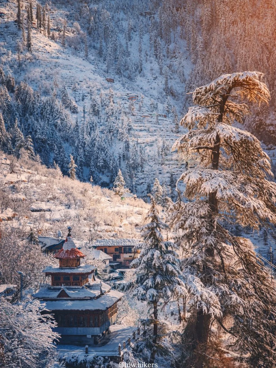 LeonShadleqi9's tweet photo. Where every snowflake feels like a blessing. https://t.co/jVRGhnJ0ih