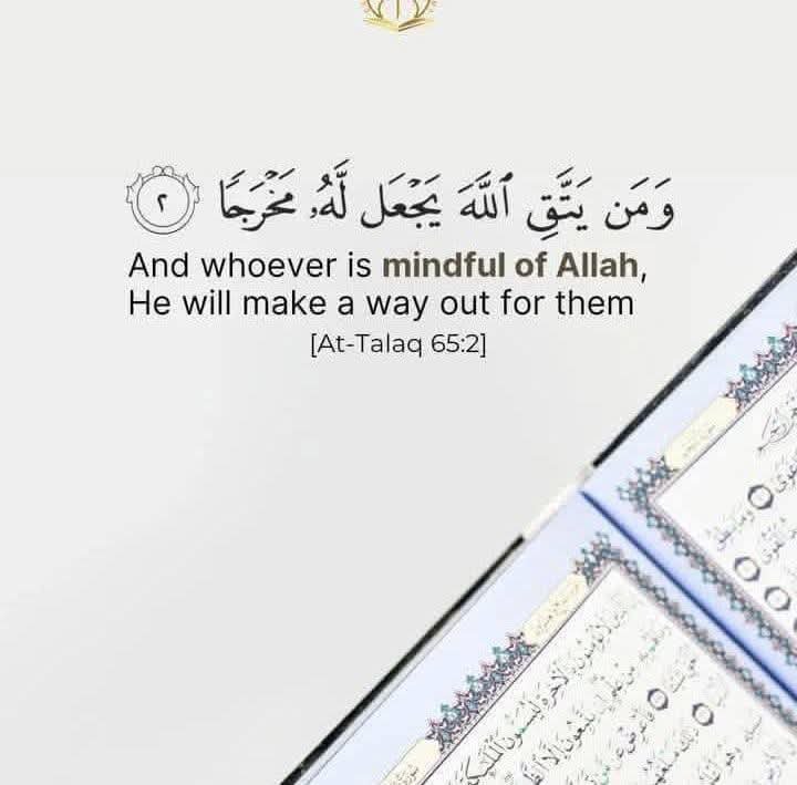 FuadMoh99056719's tweet photo. https://t.co/jUA7uvT2os