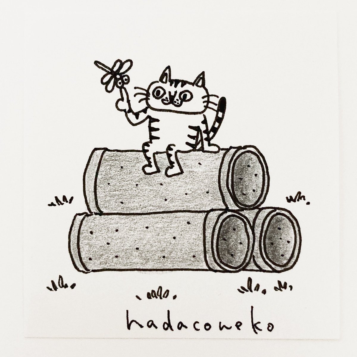 hadaconeko's tweet photo. 今日のイラストはコレ(*´ｪ`*)
『土管の上に座ってる猫』
#イラスト #猫 #cat #illustration #猫イラスト #貓 https://t.co/OACvyHmO2z