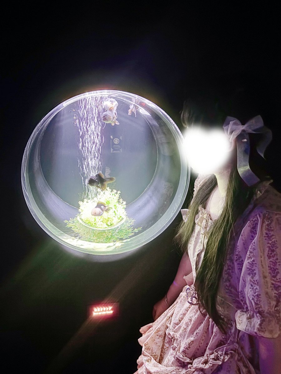 jasmine_melty's tweet photo. お花ブース綺麗だったなぁ🌸
どの展示も好きだけど、ここが一番好きだったかも……🥹🫶🏻

 #アートアクアリウム  #東京 https://t.co/bJyXHaskYV