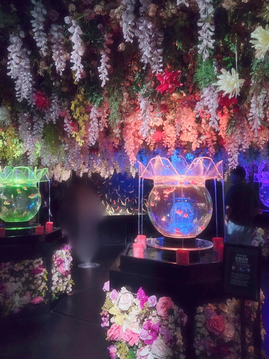 jasmine_melty's tweet photo. お花ブース綺麗だったなぁ🌸
どの展示も好きだけど、ここが一番好きだったかも……🥹🫶🏻

 #アートアクアリウム  #東京 https://t.co/bJyXHaskYV