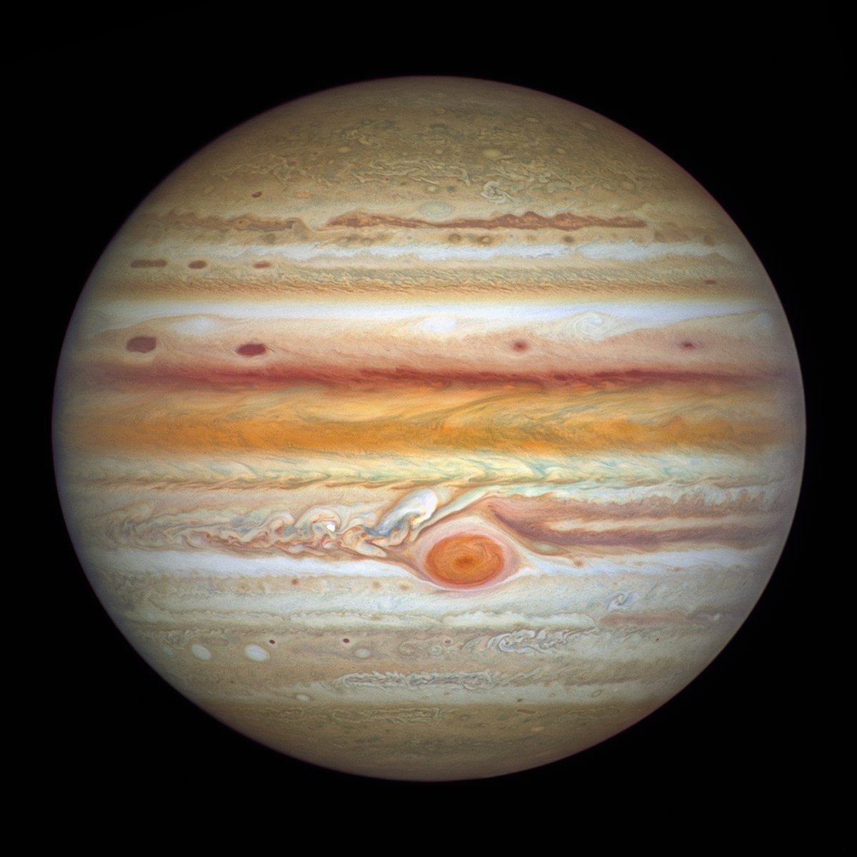 ggemmert's tweet photo. Under the dawn sky tomorrow, Jupiter glows just below the Moon — its famous Great Red Spot still shrinking. Hear the story on https://t.co/bftQRWHfM5, weekdays at 5:57am and 4:57pm CDT.

#SimplyBeautiful https://t.co/G7LW1Qx9Ks
