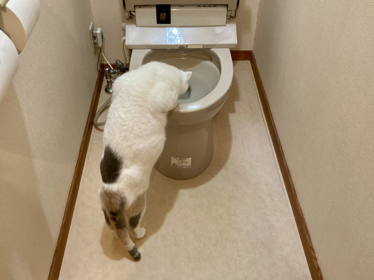 HMomojiro's tweet photo. 『夏はどこですか〜？』

座ってごらん
お尻が『つべたっ』って感じたら
それはもう秋さ

#小さい秋見つけた https://t.co/feEAvzDWxA