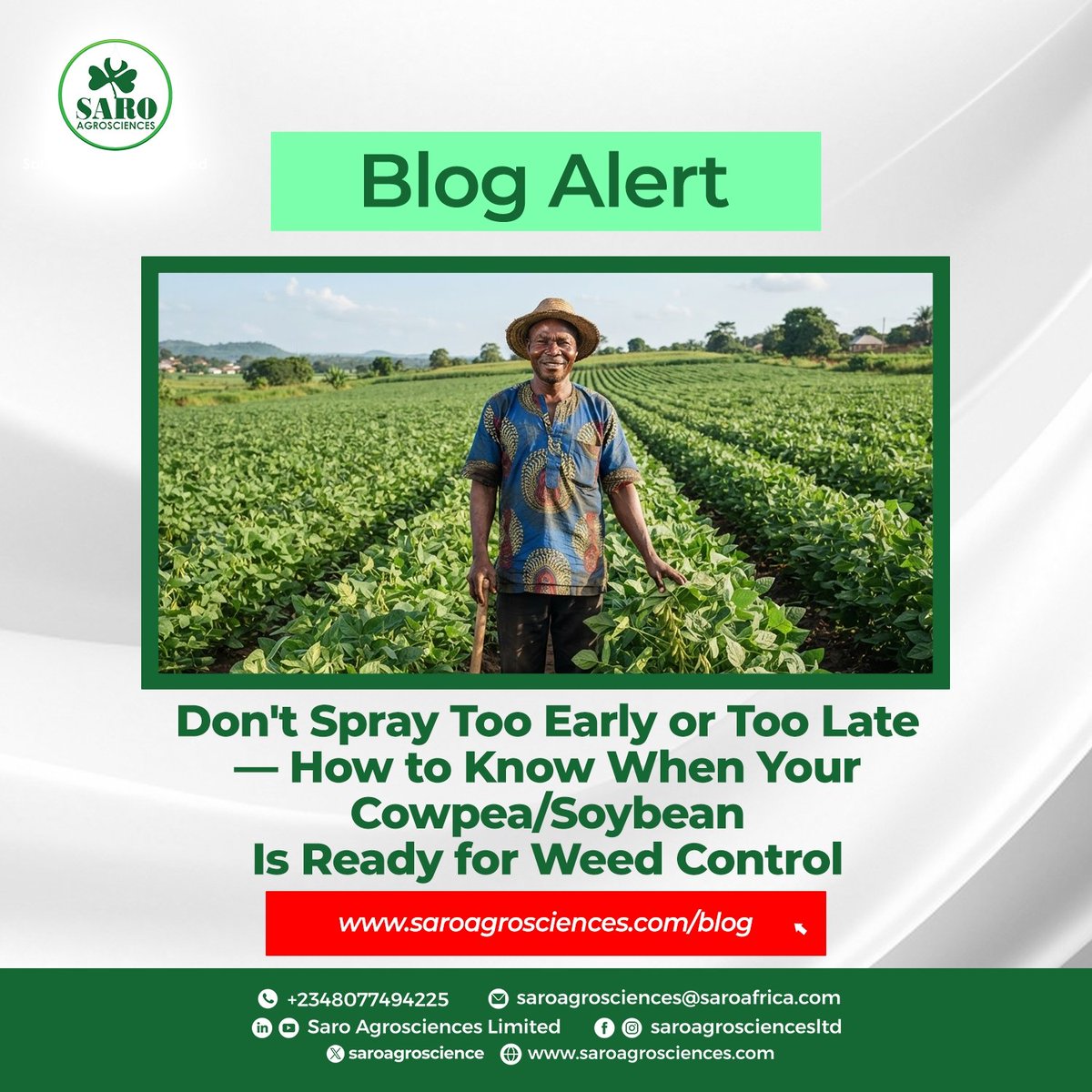 saroagroscience's tweet photo. When it comes to weed control in cowpea and soybean, timing matters.

Spray too early, and you may not get the result you expect. Wait too long, and weeds may already be established and competing with your crop.

In our latest blog, we break down how to get your weed-control timing right.

Read the full blog:https://t.co/Jx2IomkhNM

Big wiz Datti EveMun Rashford Arsenal