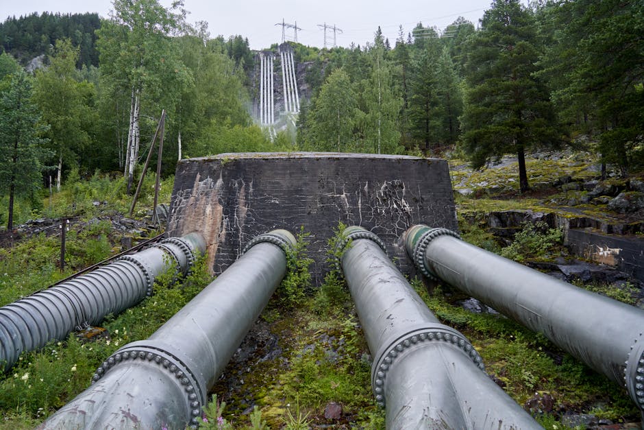 MarcoBesar9hn's tweet photo. أؤمن ، وسوف يؤمن الحظ بك. لقد ولدت للنجاح في بنفسك جميع أهداف المطاردة. dalton bigelow🏳️‍🌈 https://t.co/DXHr0Jijm4