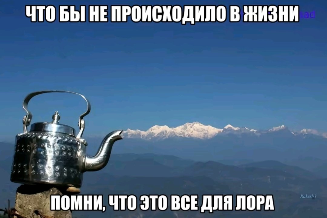 Bdzholaya's tweet photo. https://t.co/Nf4rZuOvEi