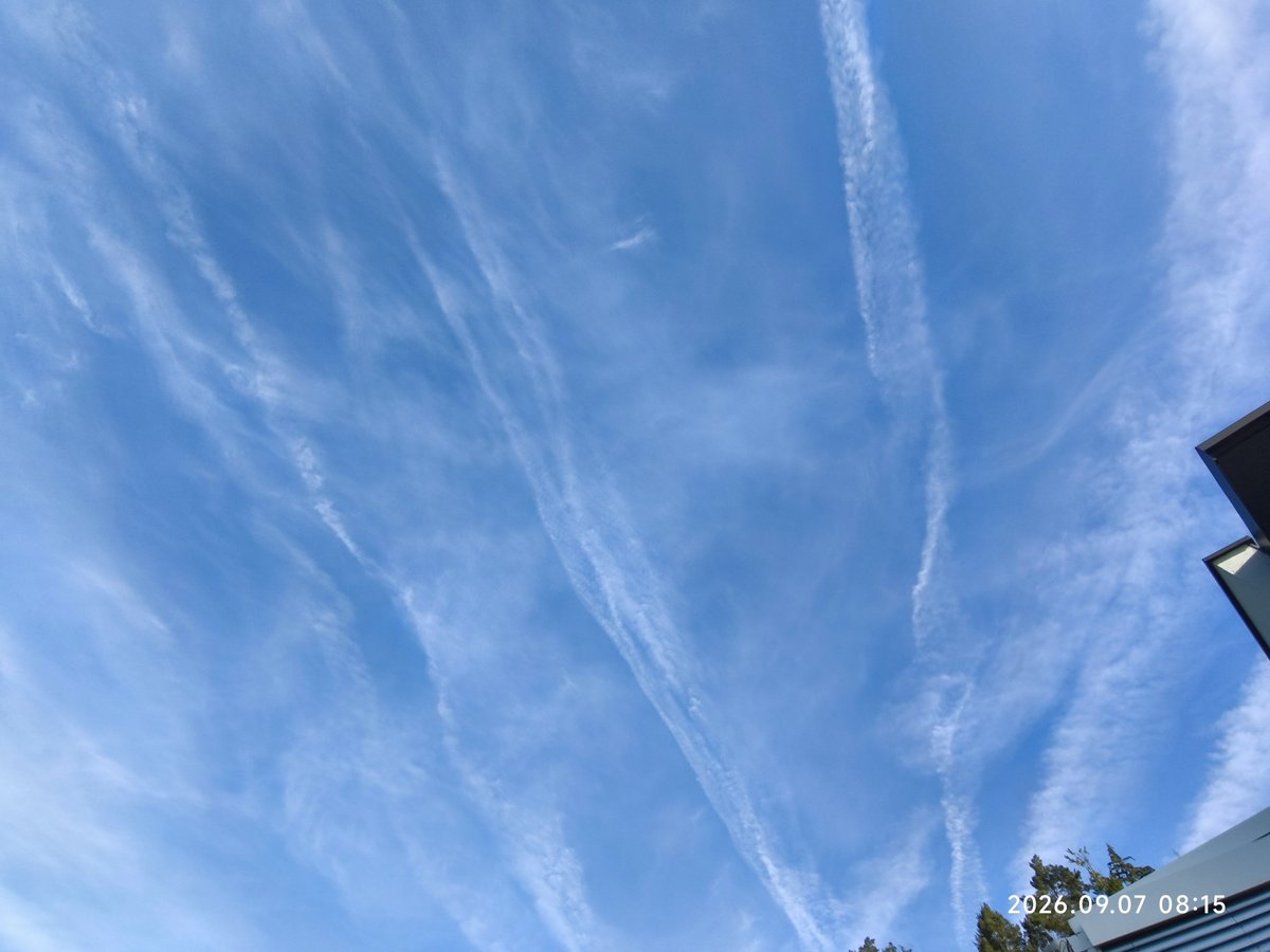 Sabine8887741's tweet photo. Guten Morgen Freunde 😘 sie geben heute wieder alles 😡🤮 https://t.co/sRqOr5Lk9k