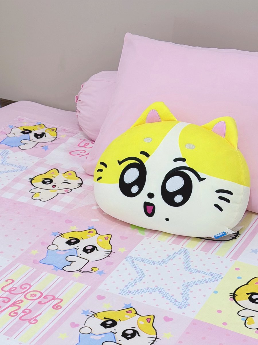 pinkuwoniee_'s tweet photo. wonchu has officially taken over my bed♡
#WONCHU #ENCHIN https://t.co/ActlcIBZPa