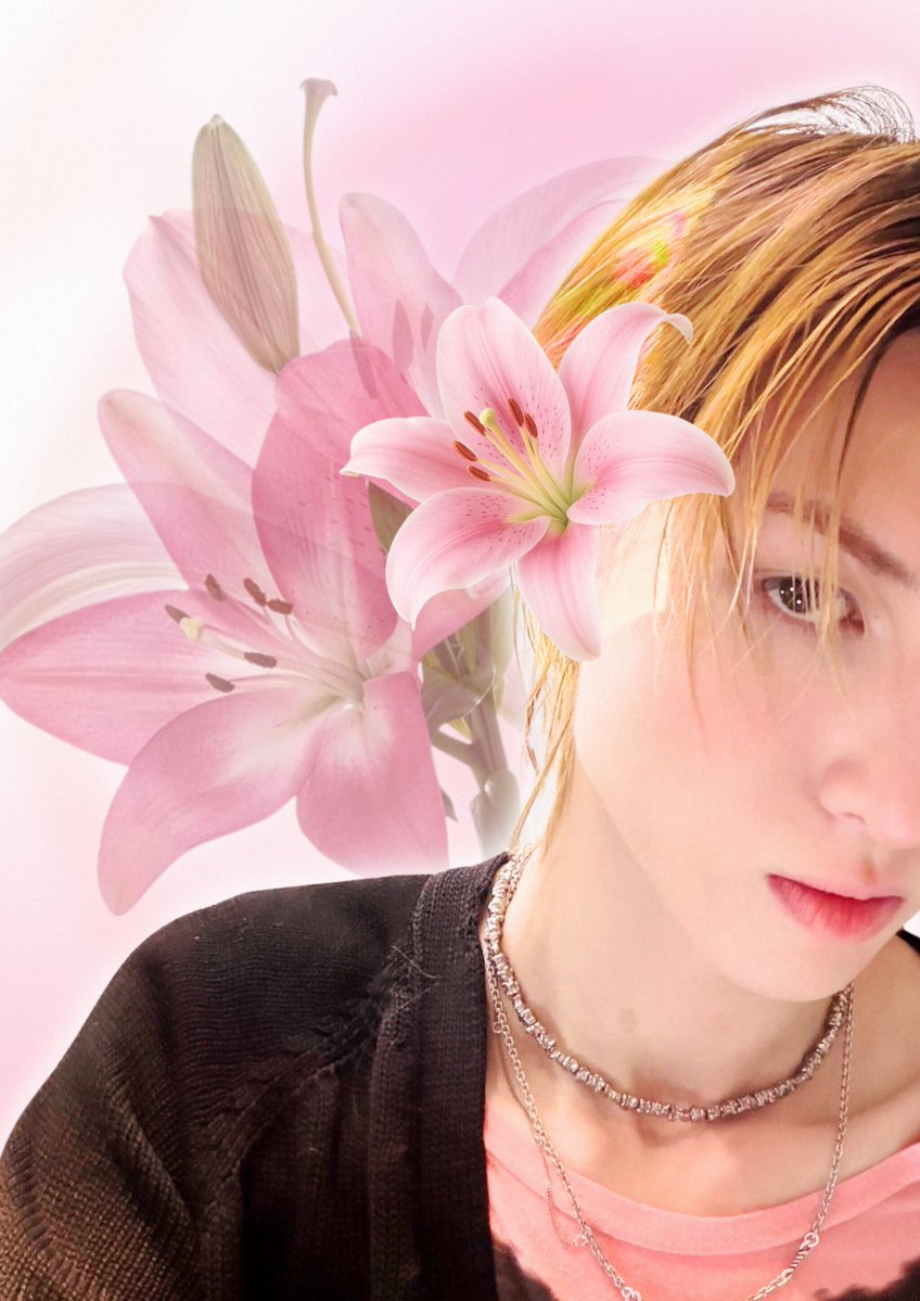 0m0teen's tweet photo. ⋆. 𐙚 ˚pinkytin agenda 🌸      ⋆. ୨୧˚⋆ #martin https://t.co/eCRiqGhlFt