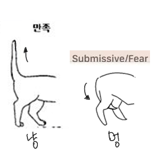 chuuuDYJH's tweet photo. 윳댕~ ㅠㅠ https://t.co/zTNYnp1XZT