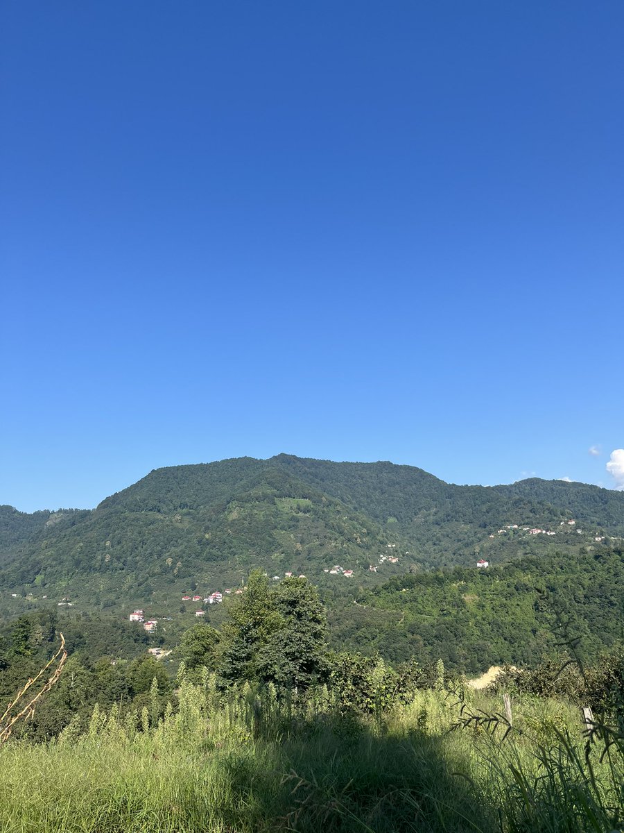 emrullahgirginn's tweet photo. Karadeniz incisi Giresun! 💚🇹🇷
Cumhuriyet’in şehri;
Mücadele zamanları elini taşın altına fazlasıyla koymuş,
Topal Osman’ların , 42. ve 47. Gönüllü Alayların müsebbibi,
Kirazın , fındığın, doğal güzelliklerin başkenti
“Kahramanlar Diyarı”.
#Giresun #Karadeniz https://t.co/j30JVMw28x
