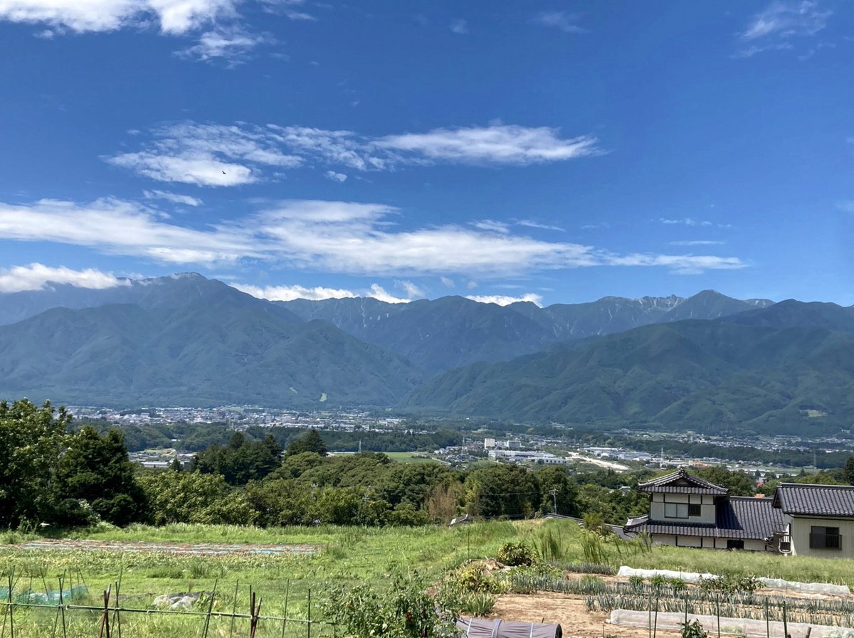 LashleyNancye's tweet photo. LAでもフルーツ食べてランニングしてる神宮寺さん☺️さすが https://t.co/amxHyXUZzY