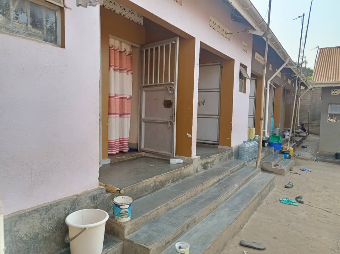 shukranproperty's tweet photo. HOT DEAL RENTALS ON SALE
BWEYOGERERE, JOMAYI ESTATE
15 DOUBLE ROOMS
21 DECIMALS PRIVATE MAILO TITLE
MONTHLY INCOME 2.9M UGX
SELLING AT #240M UGX
0706592177 https://t.co/h6VI8umgBQ