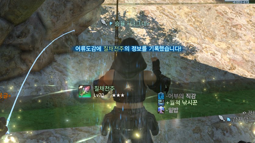 ff14_404's tweet photo. [오후 4:06] 🐈‍ 님이 칠채천주(461.2일름)를 낚았습니다. https://t.co/10ZoZCH37t