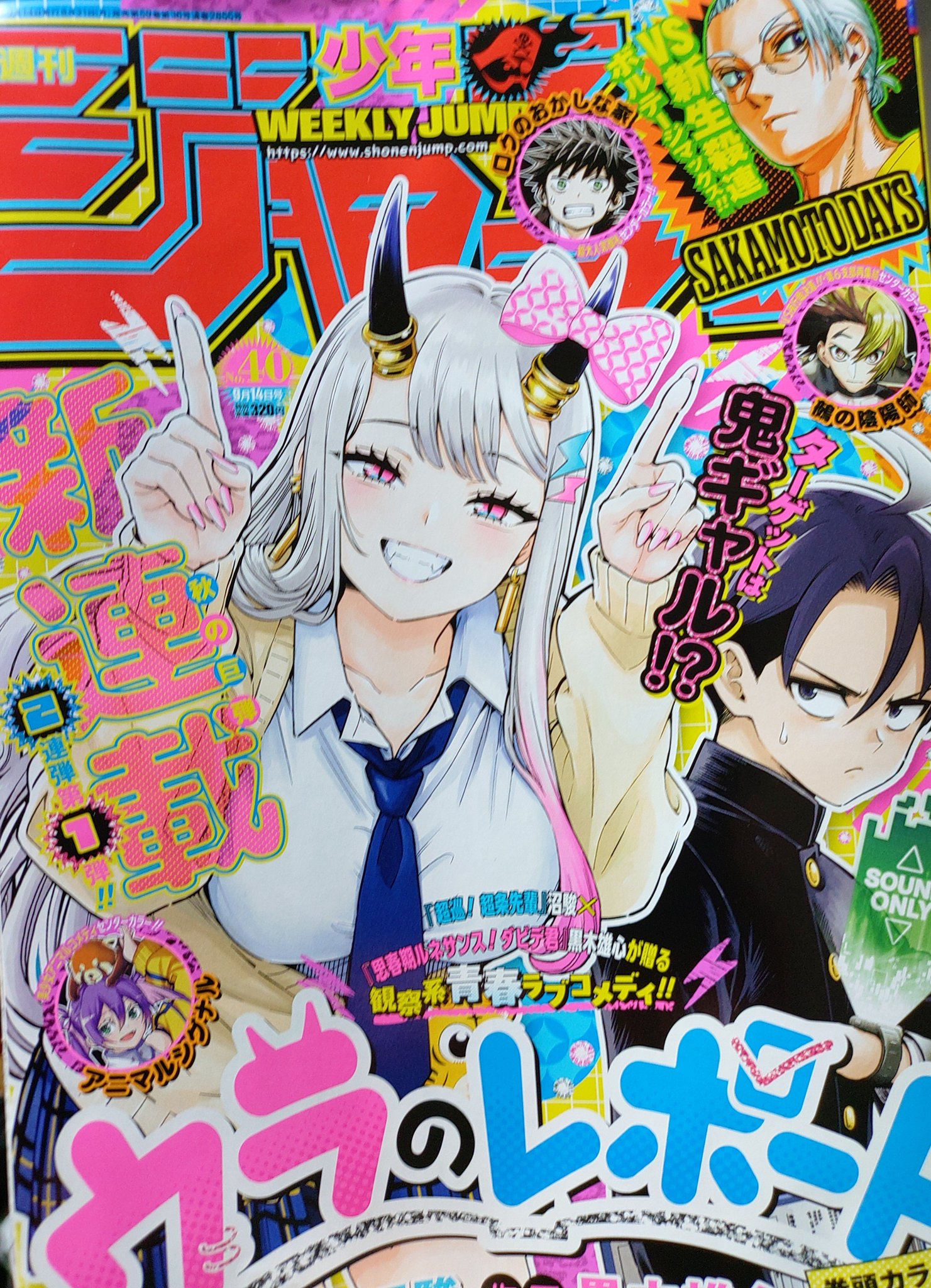 おきなーわんこ🐶 on X: 