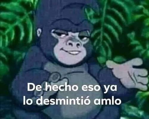 DaniDvein's tweet photo. @gasalopez https://t.co/nObHZeJgsY