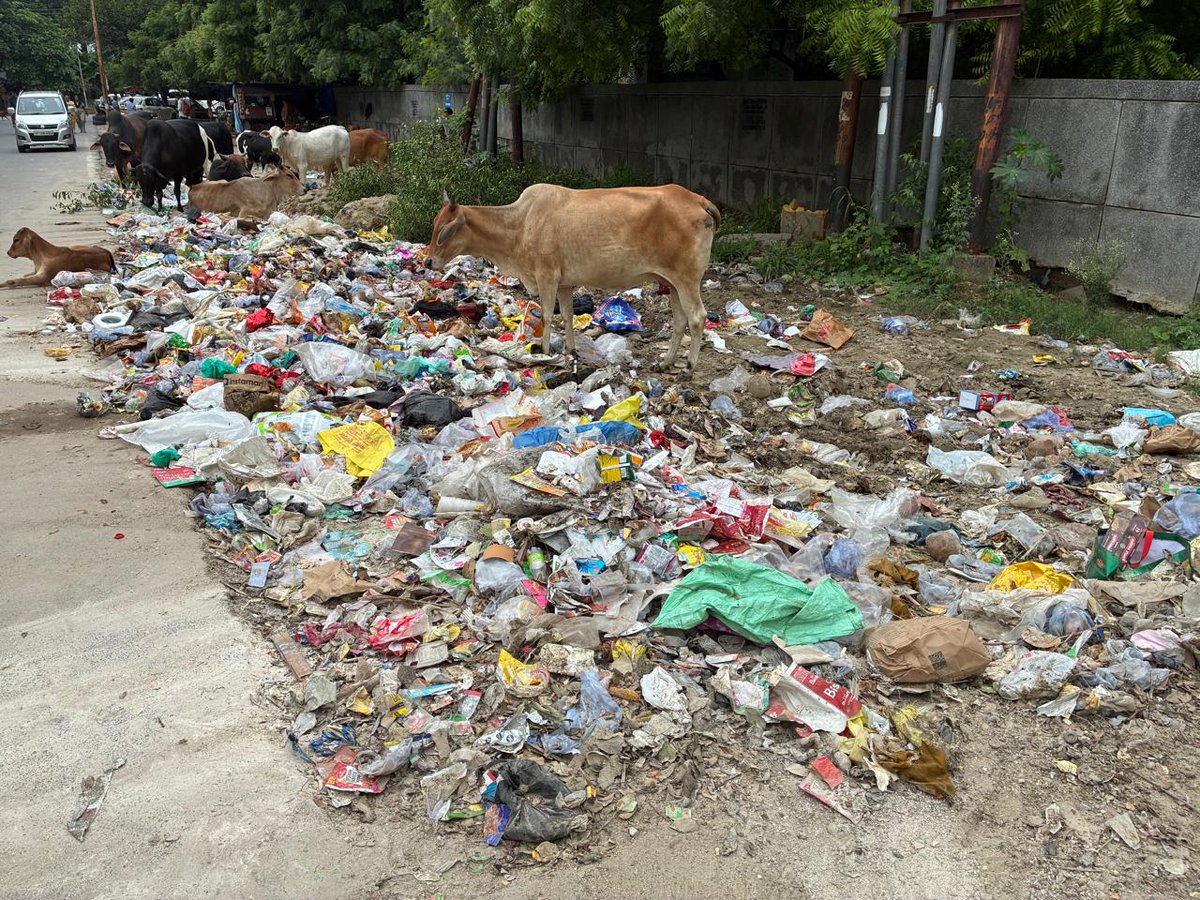 anoop7841's tweet photo. @manuj_saxe84882 @CeoNoida @dmgbnagar @noida_authority Still same problem exists and no action taken by any authority yet? https://t.co/sgLL05fQHO