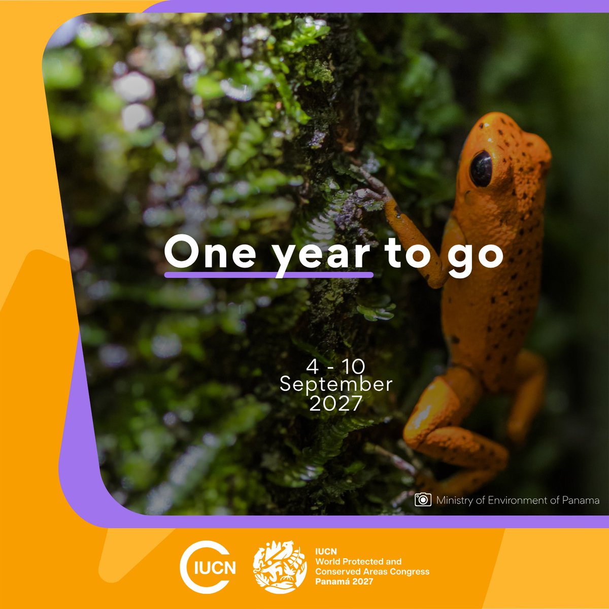 IucnE's tweet photo. 𝐎𝐧𝐞 𝐲𝐞𝐚𝐫 𝐭𝐨 𝐠𝐨!

In September 2027, the world’s protected and conserved areas community will gather in Panama to share knowledge, build partnerships &amp; help shape the next decade of area-based conservation.

Sign up for #IUCNWorldPCA2027 updates- https://t.co/9jlzRgd2eS https://t.co/9TIRWk1VdL